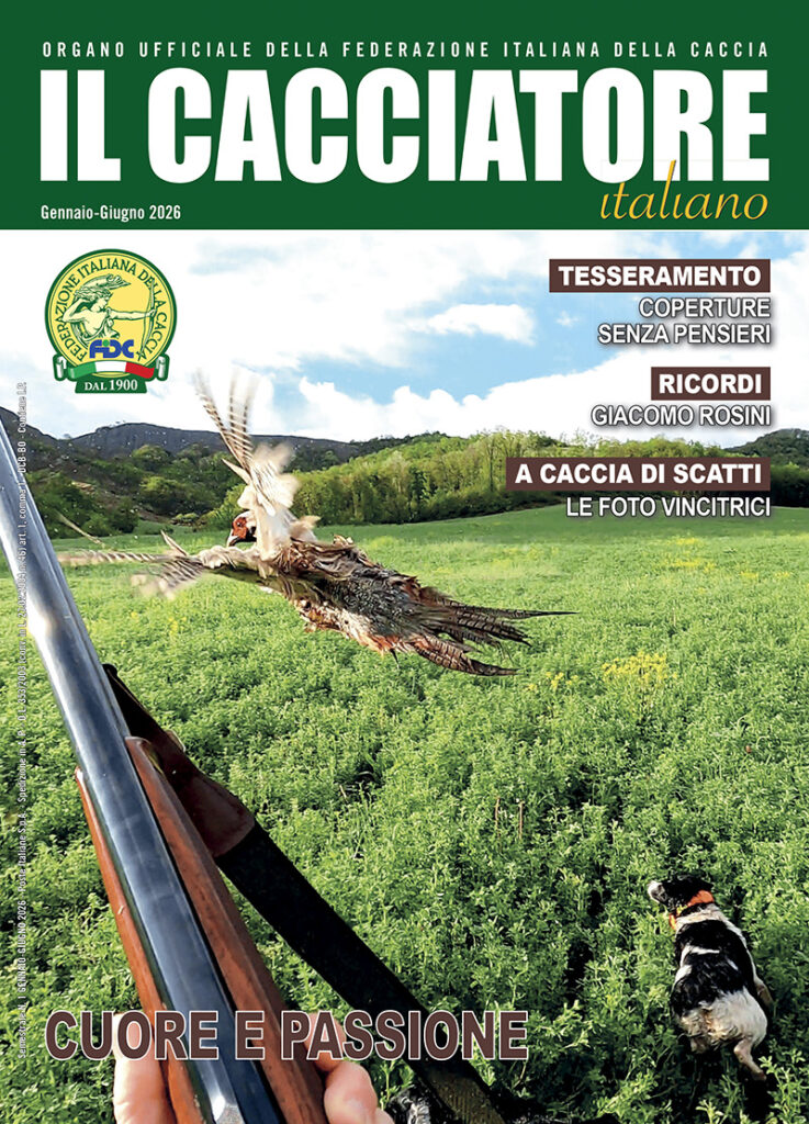 CACCIATORE ITALIANO