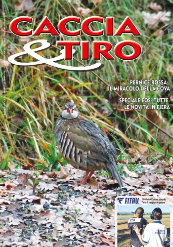 CACCIA & TIRO