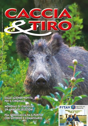 Caccia & Tiro